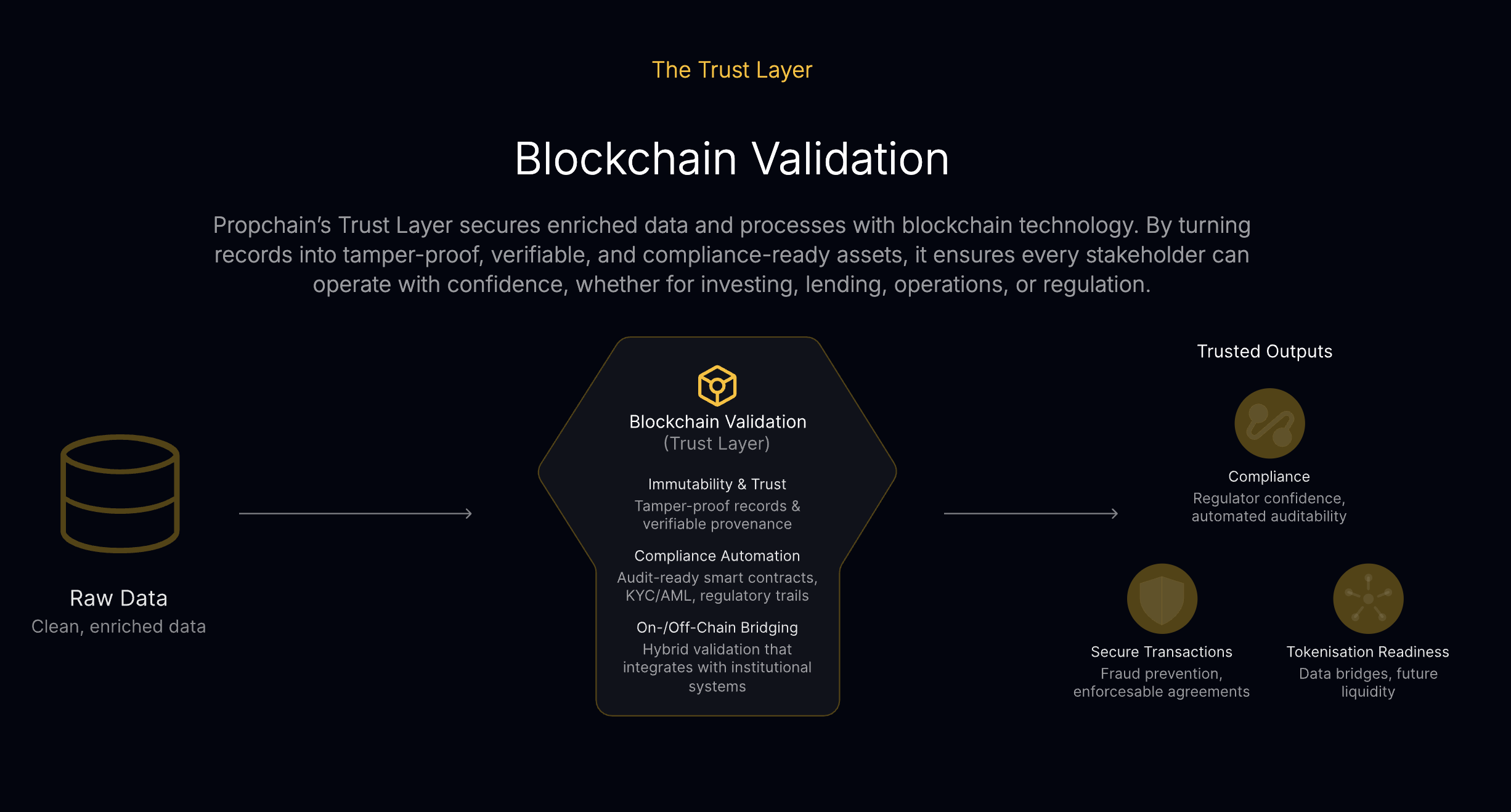 Blockchain validation trust layer